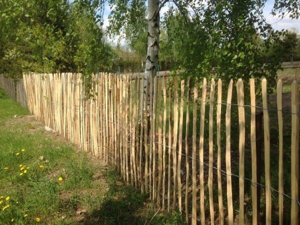 Ganivelle en noisetier H.1 x L.5 m